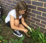 Gardening club