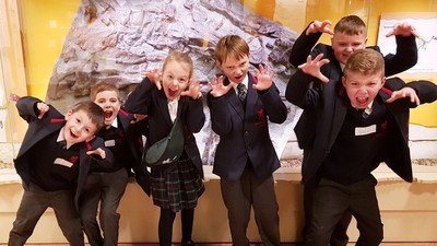 Meerkats visit Maidstone Museum